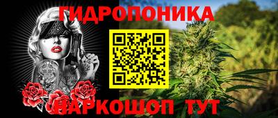 дмт Бузулук