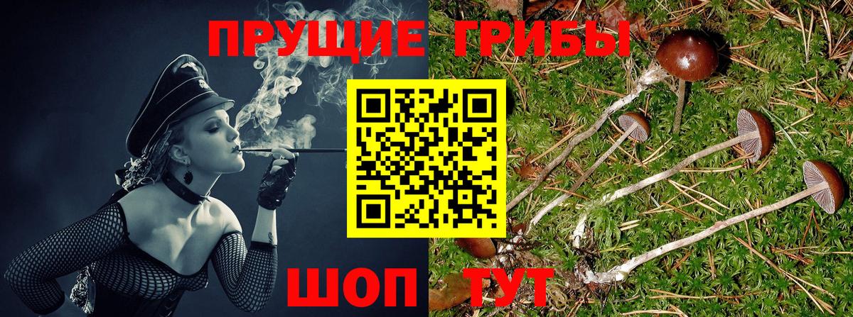 Фролово  Галлюциногенные грибы мицелий  Вход с VPN 