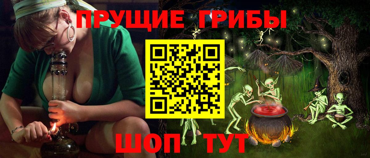 Псилоцибиновые грибы Cubensis Фролово
